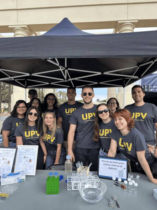 Image of researchers from UPV at a public engagement event - European Researchers’ Night in Turia Gardens, sharing how biomaterials are developed for tissue and cell engineering.